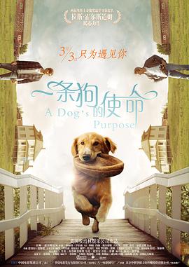 欧美日韩亚洲精品一区二区三区