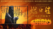 麻豆成人av