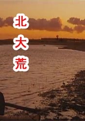三浦惠理子在线观看