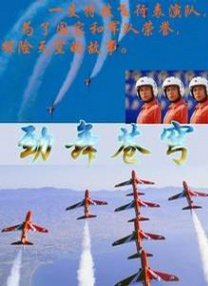 977精品视频在线观看
