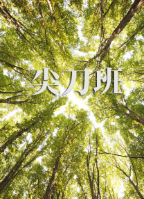 丝袜美腿视频网站
