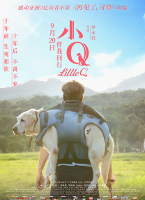 成年人视频在线免费播放