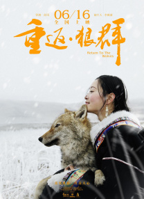 成年视屏